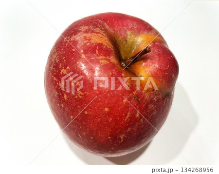 産地直送の訳ありサンふじりんご55 134268956