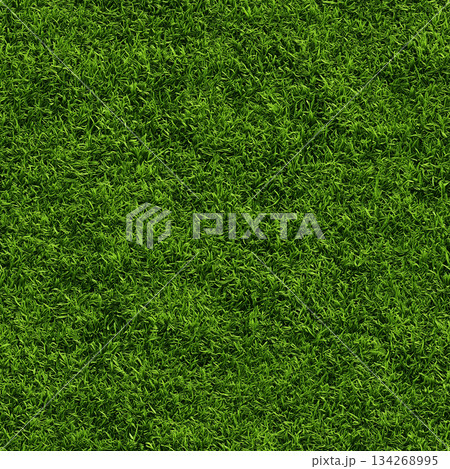 継ぎ目のない芝生のテクスチャ。上から見た、濃く青々とした芝生、またはサッカー場やゴルフ場の背 134268995