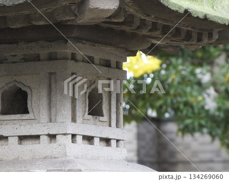 日本庭園に佇む苔むした古い石灯籠の火袋と背景のボケ 134269060