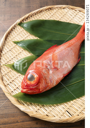 金目鯛 134269071