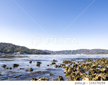 青空と牡蠣殻が彩る天橋立・阿蘇海の絶景 青空と牡蠣殻が彩る天橋立・阿蘇海の絶景 134270294