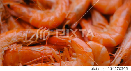 An extreme close-up macro shot of a pile of fresh, whole cooked shrimps, filling the entire frame to create a textured food background. 134270306