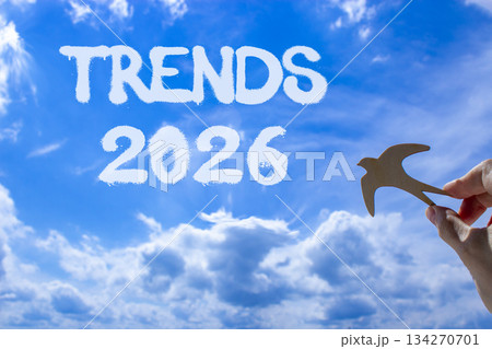 Trends 2026 new year symbol. Concept words Trends 2026 on beautiful blue sky. Beautiful blue sky background. Businessman's hand holds wooden bird. Business and Trends 2026 new year concept. Copy space 134270701