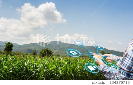 asian male farmer working in corn farm To collect data to study. Innovation technology for Develop farms to improve production efficiency. asian male farmer working in corn farm To collect data to study. Innovation technology for Develop farms to improve production efficiency. 134270719