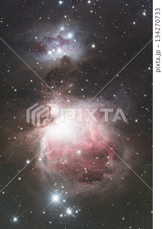 オリオン大星雲 2025 134270733