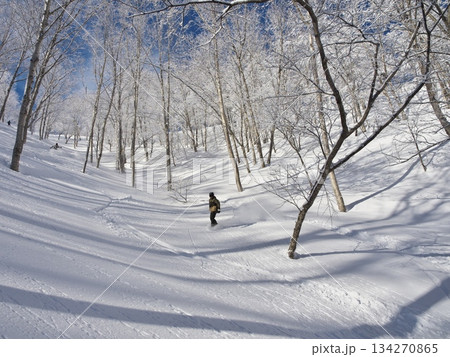 冬の斑尾高原スキー場　霧氷のリバーライン・ツリーランコースを滑るボーダー 134270865