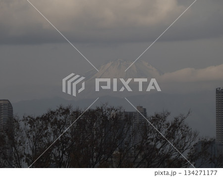 曇り空の下、木々と高層ビル群の彼方に浮かび上がる幻想的な富士山の遠景素材 134271177