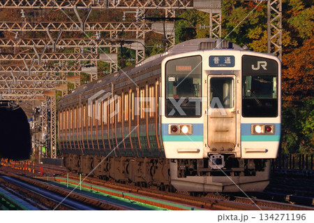 ［CO］紅葉の中央本線211系電車（6両固定編成：高尾⇔松本） 134271196