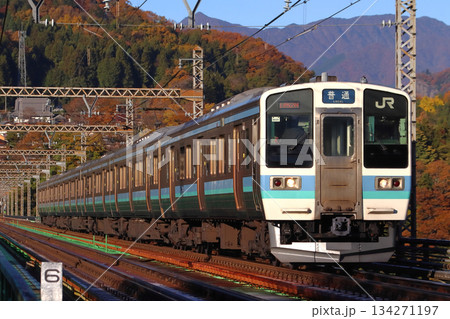 ［CO］紅葉の中央本線211系電車（6両固定編成：高尾⇔松本） 134271197