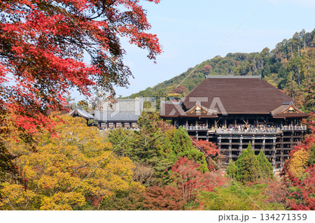 京都 秋の清水寺 紅葉と清水の舞台 (京都府京都市東山区) 京都 秋の清水寺 紅葉と清水の舞台 (京都府京都市東山区) 134271359