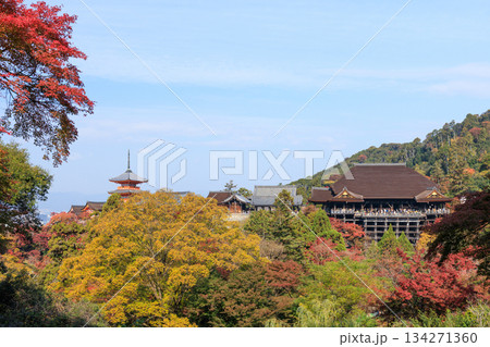 京都　秋の清水寺　紅葉と清水の舞台 (京都府京都市東山区) 134271360