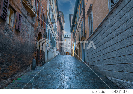 Rainy Medieval Alley 134271373