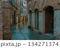 Rainy Medieval Alley 134271374