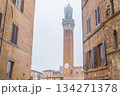 Torre del Mangia View 134271378