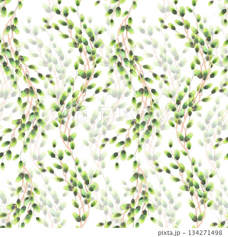 Seamless pattern of rows of willows branches. Watercolor illustration. For fabric, wallpaper, packing paper, greeting cards, design, decoration and illustration 134271498