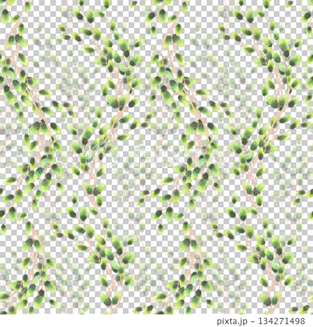 Seamless pattern of rows of willows branches. Watercolor illustration. For fabric, wallpaper, packing paper, greeting cards, design, decoration and illustration 134271498