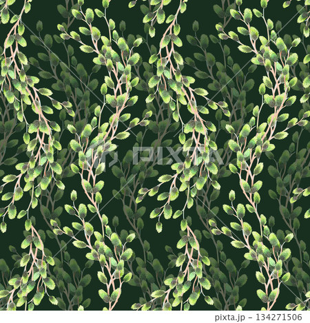 Seamless pattern of rows of willows branches on a green background. Watercolor illustration. For fabric, wallpaper, packing paper, greeting cards, design, decoration and illustration. 134271506