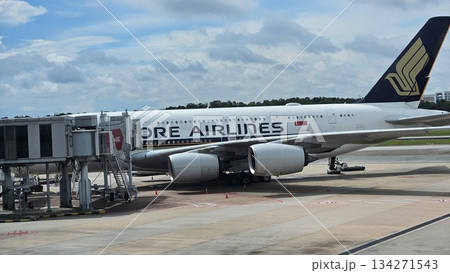 A Singapore Airlines jet stands at the gate with ground vehicles and cargo nearby, showcasing sleek design, global connectivity 134271543
