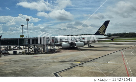 A Singapore Airlines jet stands at the gate with ground vehicles and cargo nearby, showcasing sleek design, global connectivity 134271545