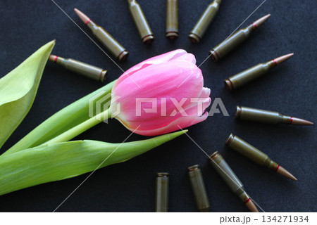 Live Ammunition Around One Tulip On Silk Velvet Upholstery. Conceptual Stock Photo For War And Peace Illustration 134271934