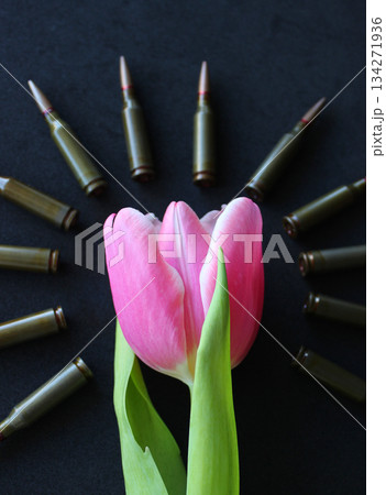 Crown made of bullets around blooming tulip flower on black velvet surface 134271936