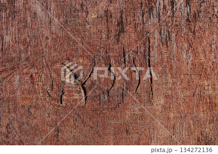 Natural texture close-up: an organic pattern of cracks, grooves, and rough surface 134272136