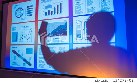 データ分析シルエットプレゼン 134272402