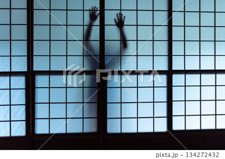 障子越しの亡霊 134272432