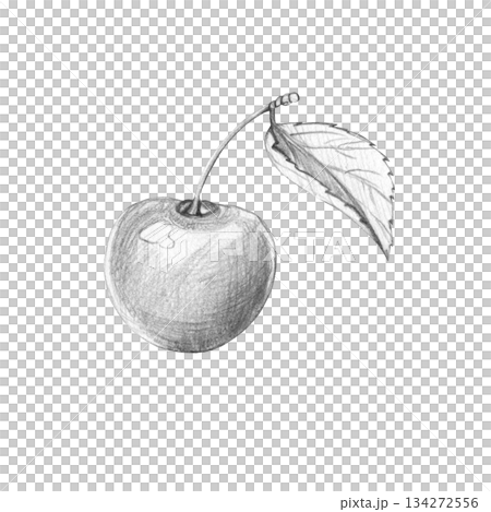 Simple graphite pencil drawing of single cherry berry with stem and leaf. Realistic botanical sketch is isolated on white background. Illustration for healthy food concepts, labels, and rustic design 134272556
