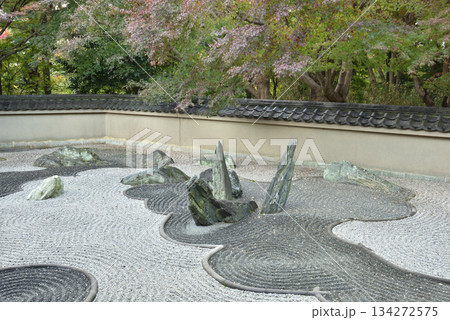 龍吟庵　西庭　龍の庭(京都市東山区) 134272575