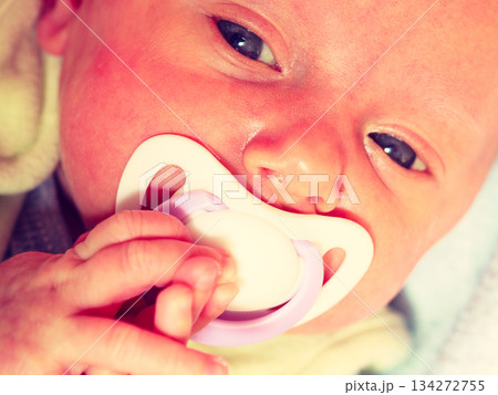 Closeup of little newborn lying with teat in mouth Closeup of little newborn lying with teat in mouth 134272755