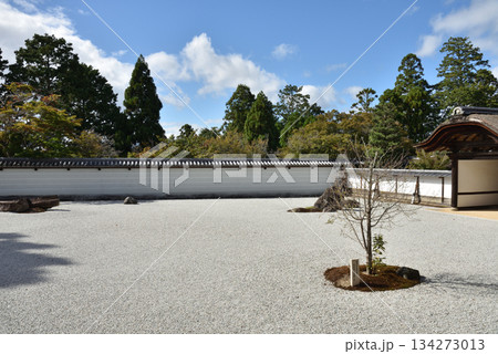 曼殊院　宸殿前庭　盲亀浮木の庭(京都市左京区) 134273013