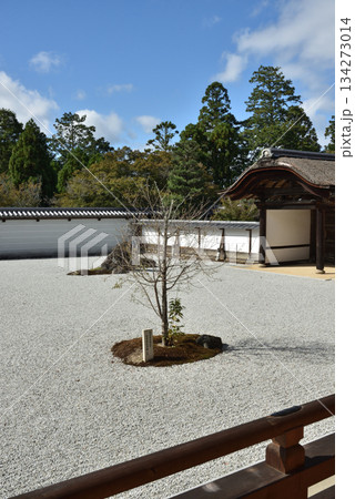 曼殊院　宸殿前庭　盲亀浮木の庭(京都市左京区) 134273014