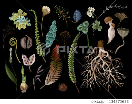 Rewild moss root organic soil earthy raw botanical elements eco vector pattern design isolated. 134273628