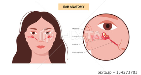 Eustachian tube poster 134273783