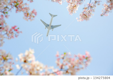 桜フレームと飛行機 桜フレームと飛行機 134273804