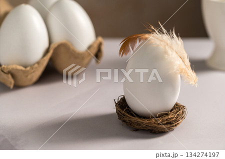 Easter holiday. White egg in a nest with a feather, bright minimalistic background Easter holiday. White egg in a nest with a feather, bright minimalistic background 134274197