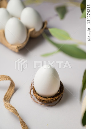 Easter background. Green eucalyptus, white egg in a nest. Spring time. Minimalistic Easter background. Green eucalyptus, white egg in a nest. Spring time. Minimalistic 134274218