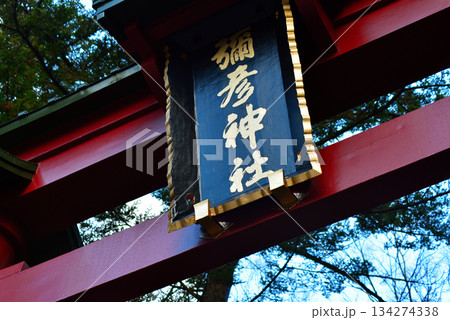 神社の赤い鳥居 134274338
