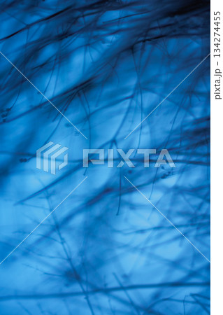 Soft blurred shapes in deep blue tones create a dark atmospheric mood in this abstract bokeh backplate. Soft blurred shapes in deep blue tones create a dark atmospheric mood in this abstract bokeh backplate. 134274455