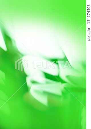 Green  defocused texture for your design. Green  blurry  background. 134274508