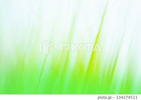 Fresh spring greens blurred universal texture for your design 134274511