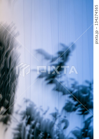 Misty textures create tension and mystery, working well as an unfocused bokeh background with copy space or cinematic overlay Misty textures create tension and mystery, working well as an unfocused bokeh background with copy space or cinematic overlay 134274565