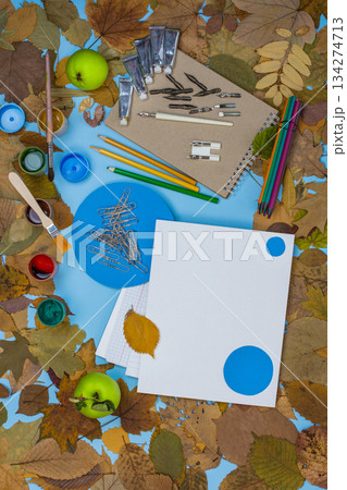 Top down flat lay representing the idea of going back to school. Mock up sheet of white paper and vintage objects for school top view. Top down flat lay representing the idea of going back to school. Mock up sheet of white paper and vintage objects for school top view. 134274713