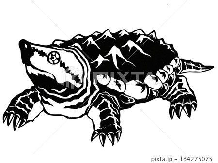 こんなカメが水路に居たら怖いワニガメの切り絵イラスト 134275075