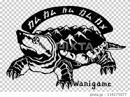 這是一幅用紙剪紙繪製的鱷龜插圖，鱷龜是一種入侵物種，會咬人，而且極其危險。 134275077