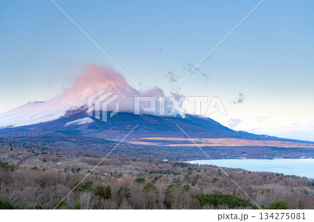 【富士山素材】山中湖明神山パノラマ台から見る雲をかぶった富士山の朝焼け【山梨県】 134275081