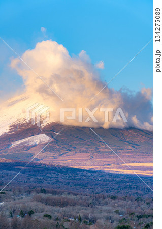 【富士山素材】山中湖明神山パノラマ台から見る雲をかぶった富士山の朝焼け【山梨県】 【富士山素材】山中湖明神山パノラマ台から見る雲をかぶった富士山の朝焼け【山梨県】 134275089