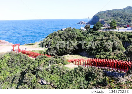 元乃隅神社の赤い鳥居と青い海 山口県 長門市 元乃隅神社の赤い鳥居と青い海 山口県 長門市 134275228