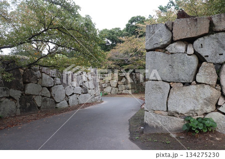 萩城址　鍵曲　萩城下町　世界遺産　山口県　萩市 134275230